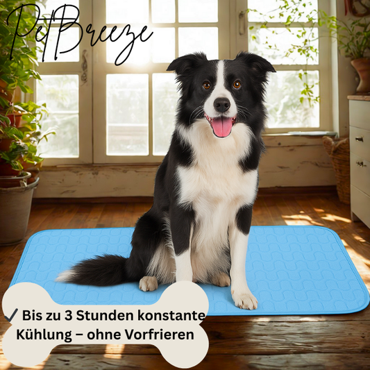 PetBreeze - die 2025 verbesserte Kühlmatte für Haustiere