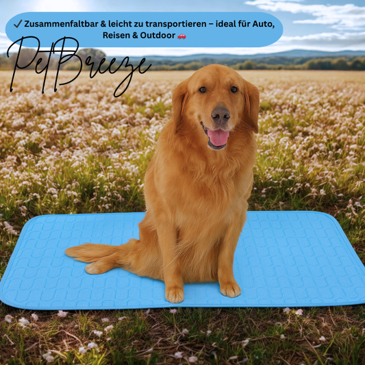 PetBreeze - die 2025 verbesserte Kühlmatte für Haustiere